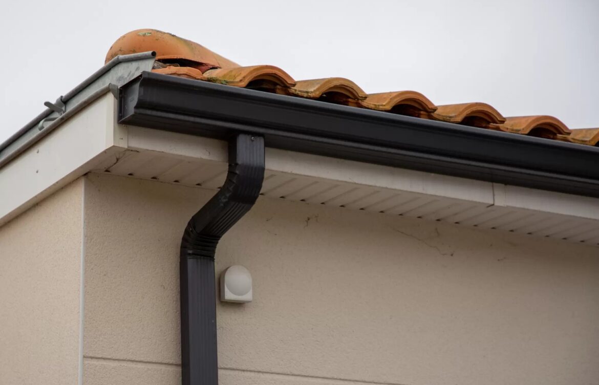 Flashing and Drip Edge Repair
